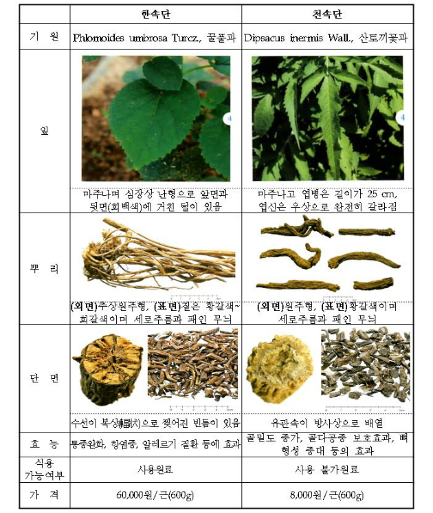 식약처, 속단 원료 진위 판별법 개발