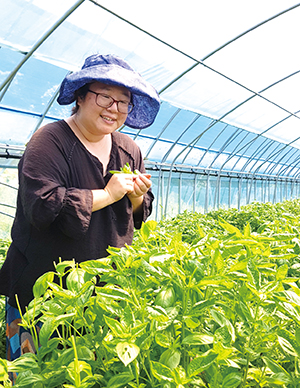 새내기 여성 농부 이수진씨가 손수 농사지은 바질을 수확하며 환하게 웃고 있다.