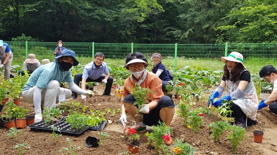 치유농업 메카로 발돋움한다 9240