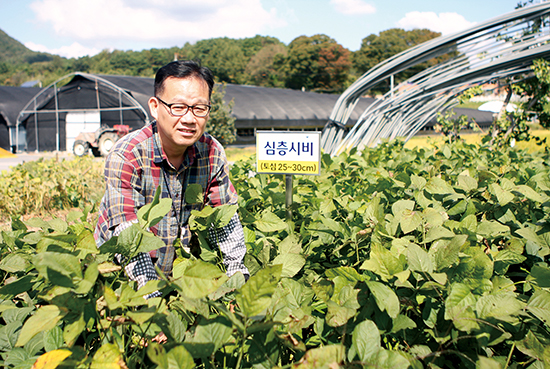  심층시비 기술이 투입된 충남 공주시 계룡면의 한 농가포장에서 홍성창 연구사가 콩 생육상황을 살펴보고 있다.