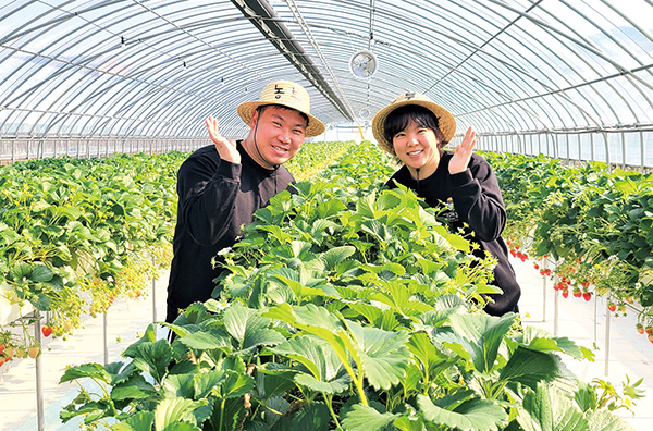 조혜진(사진 오른쪽), 정철(왼쪽) 부부가 딸기 수확 후 사진촬영에 응하고 있다.