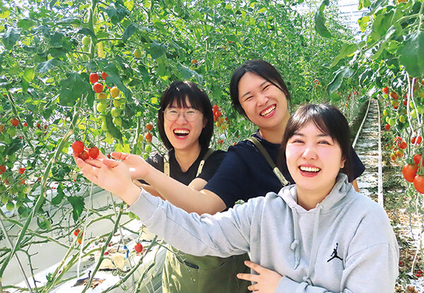 (사진 왼쪽부터)윤교보·윤정원·윤정욱씨 세 자매는 농업을 천직으로 여기며 본인들만의 스마트팜을 만들기 위해 하루하루 구슬땀을 흘리고 있다. 