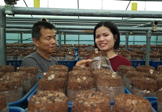 표고버섯 재배에 힘쓰고 있는 (사진 왼쪽부터)고순주·김다희 부부