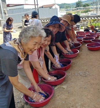 한국생활개선세종특별자치도연합회는 지난 3일 전의향교에서 회원 27명이 참여한 가운데 천연염색 체험을 실시했다.