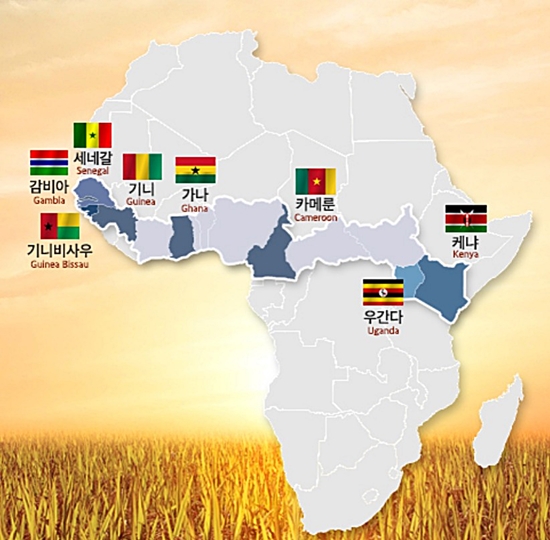 K-라이스벨트는 가나, 감비아, 기니, 세네갈, 우간다, 카메룬, 케냐 등 7개국이 참여하며, 기니비사우는 참관국 지위로 참여한다.
