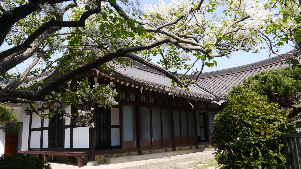 한옥을 리노베이션한 밀양진장올래에서 특별한 메뉴를 맛보세요