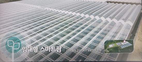 신나라 대표는 현재 경북 상주 스마트팜 혁신밸리 임대형 스마트팜에 입주해 있다.