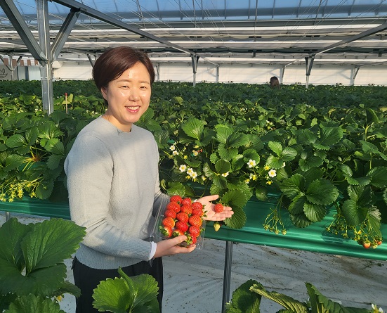이은경 수지애농장 대표는 딸기재배는 판로가 50%를 차지한다며 농촌체험학습과 마케팅에 역량을 적극 발휘하고 있다.