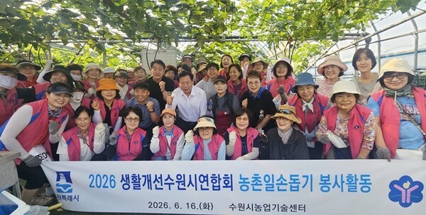 한국생활개선수원시연합회는 지난 16일 포도농가를 찾아 봉지 씌우기 작업에 나섰다.