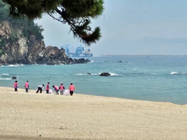 모래에 묻힌 쓰레기까지 수거하는 일은 꽤 고되다. 강동면생활개선회(회장 김명희) 회원들이 구슬땀을 흘리고 있다.