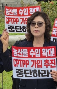 김영애 한국생활개선중앙연합회 정책부회장